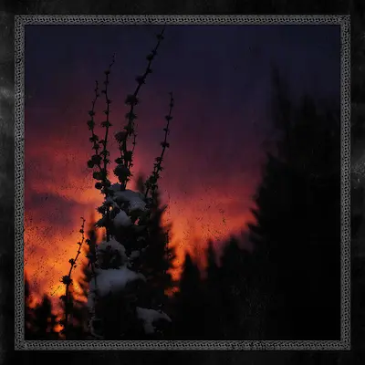 Blackbraid - Nocturnal Womb